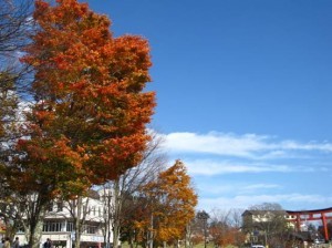 紅葉の秋 * 下篇